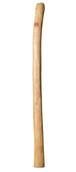 Medium Size Natural Finish Didgeridoo (TW1563)